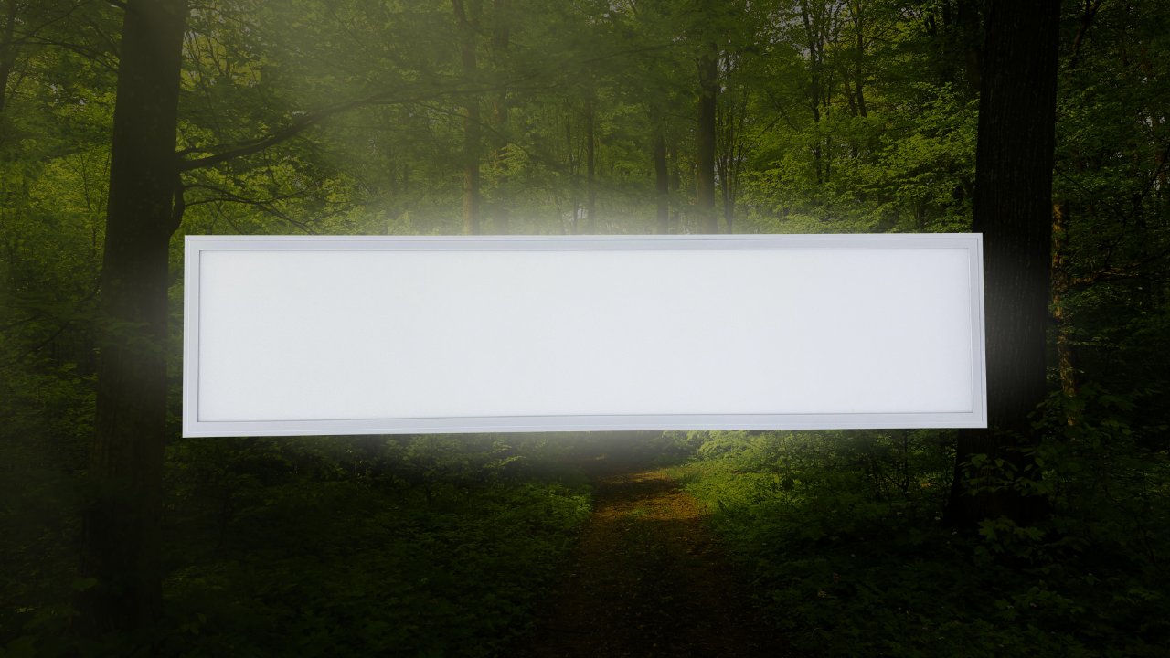 Stromsparende LED Panels von Luks-Lite: Die umweltfreundliche Wahl für Ihr Zuhause oder Unternehmen