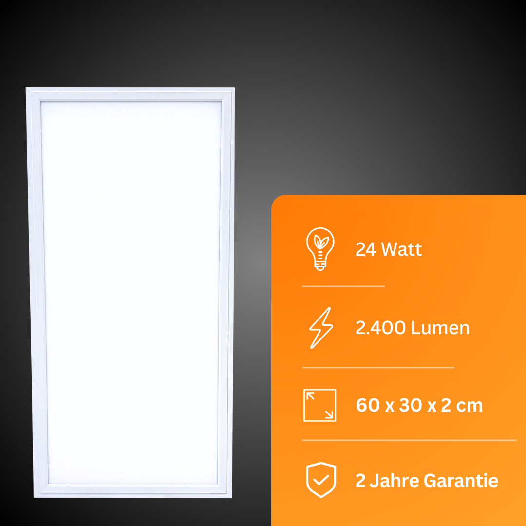 LED Panel 60x30cm | kaltweiß